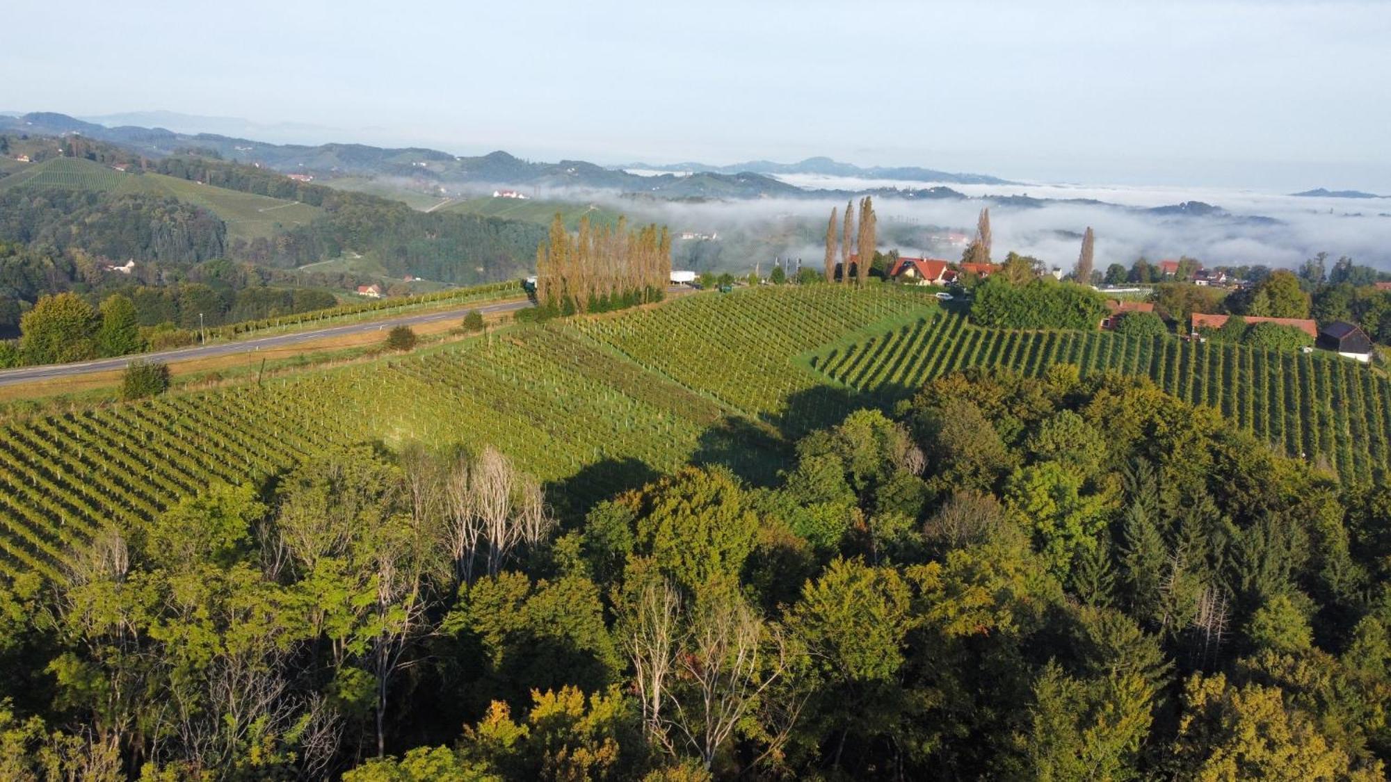 甘利特茨 Eckbergerhof酒店 外观 照片